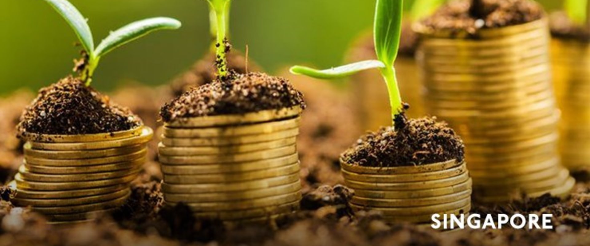 Understanding Tax Credit Amounts and Eligibility Criteria